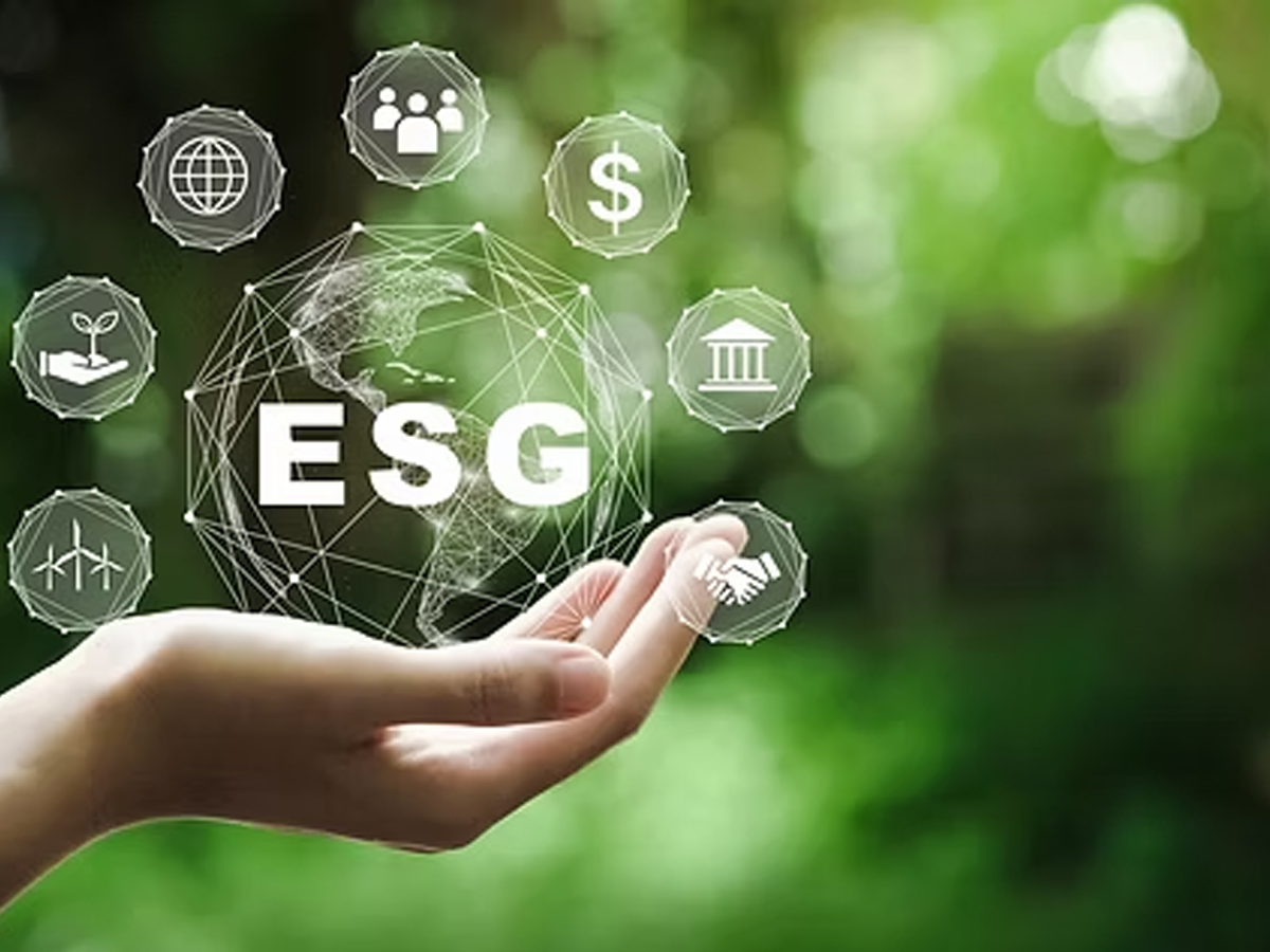 Sürdürülebilirlik & ESG Danışmanlığı